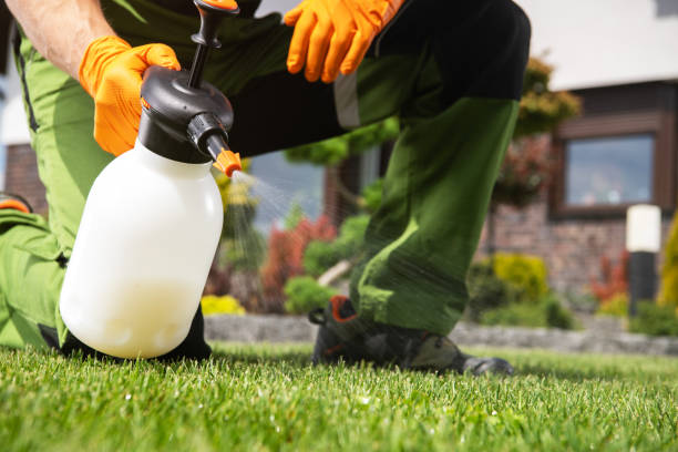 Best Local Pest Control Services  in Edgewood, MD