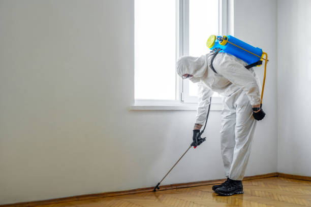 Best Termite Control Services  in Edgewood, MD